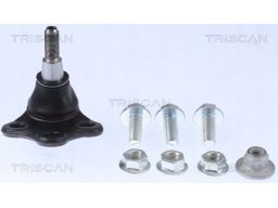 8500 25599 Sworzeń Wahacza Renault P. Scenic 1,2-1, Triscan