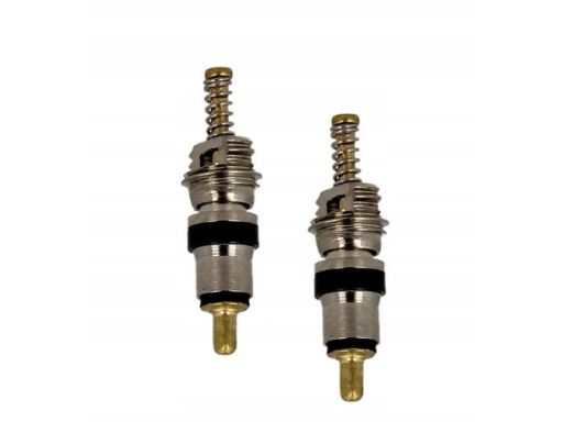 Ktt500001 Korek, Zawór Serwisowy Thermotec