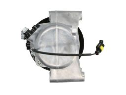 Ktt090310 Kompresor Klimatyzacji Thermotec