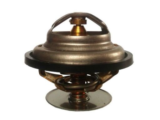 Tv-165.80 Termostat Środka Chłodzącego Thermotec