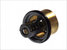 Tv-196.82 Termostat Środka Chłodzącego Thermotec