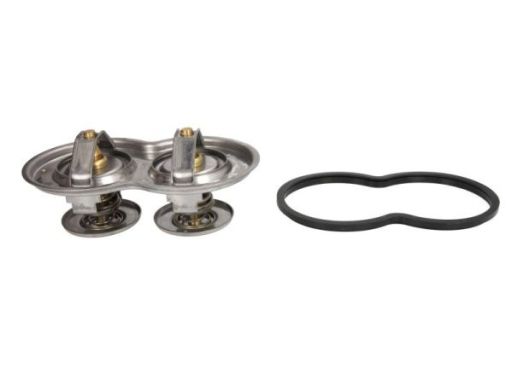 Tv-199.80/87D Termostat Środka Chłodzącego Thermotec