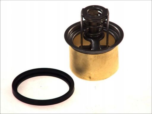 Tv-196.86 Termostat Środka Chłodzącego Thermotec