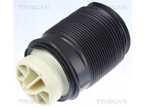 8720 23202 Poduszka Powietrzna Db T. E-Klasa (W212) Triscan