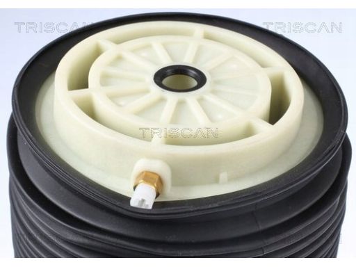 8720 23201 Poduszka Powietrzna Db T. E-Klasa (W212) Triscan