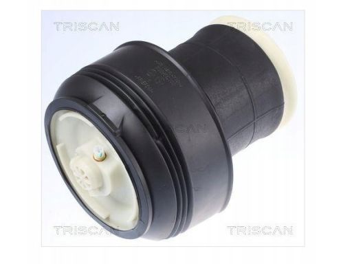 8720 11203 Poduszka Powietrzna Bmw T. X5 07-13 Le/P Triscan