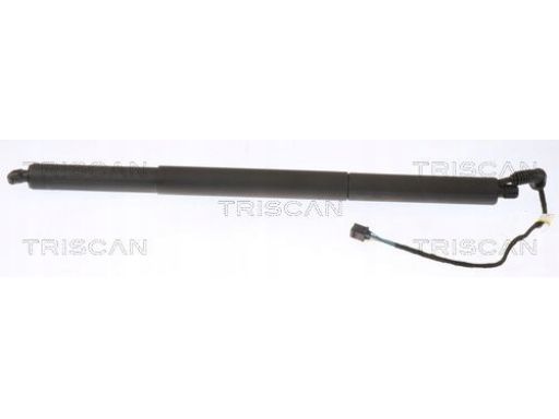 8710 29306 Siłownik Elektryczny Pokrywy Bagażnika S Triscan