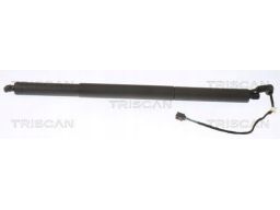 8710 29306 Siłownik Elektryczny Pokrywy Bagażnika S Triscan