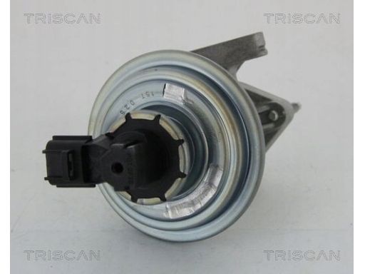 8813 16045 Zawór Egr Ford 2,0Di Transit 00- Triscan