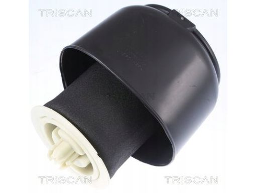 8720 11201 Poduszka Powietrzna Bmw T. 5 F07, F11 10 Triscan