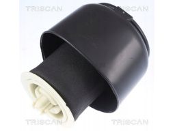 8720 11201 Poduszka Powietrzna Bmw T. 5 F07, F11 10 Triscan