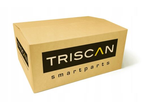 8710 29314 Siłownik Elektryczny Pokrywy Bagażnika S Triscan