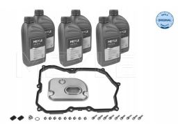 100 135 0107 Filtr Hydrauliki Skrzyni Biegów, Z Olejem (09M, Aq450,