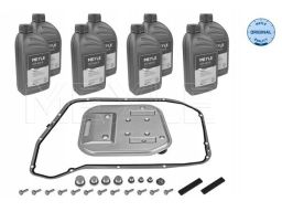 100 135 0013 Filtr Hydrauliki Skrzyni Biegów, Z Olejem (0Bk, 8Hp55, 8H