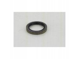 8540 23407 Pierścień Abs Db P. C218/W211/W221/R230 Triscan