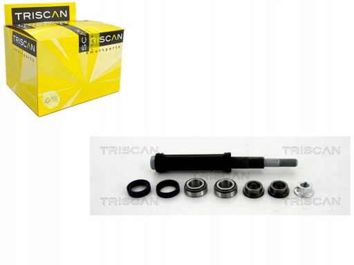 8500 38401 Zestaw Napr. Wahacza Citroen T. C5 1,6-3 Triscan