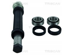 8500 38400 Zestaw Napr. Wahaczy Citroen T. Xantia 1 Triscan