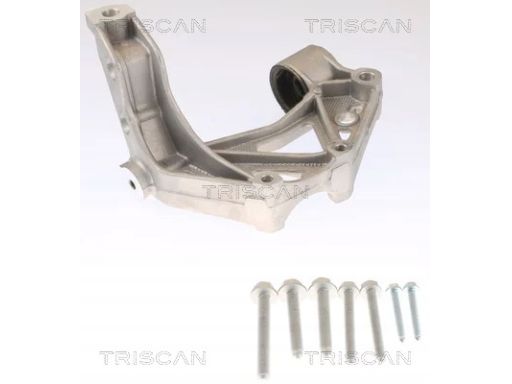 8500 295261 Wspornik Zawieszenia Vw P. Polo 01- Skod Triscan