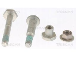 8500 25403 Zestaw Śrub Wahacza Renault Scenic Iv 1, Triscan