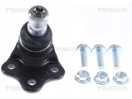 8500 17569 Sworzeń Wahacza Land Rover P. Discovery Triscan