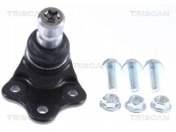 8500 17569 Sworzeń Wahacza Land Rover P. Discovery Triscan