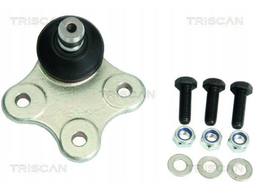 8500 10556 Sworzeń Wahacza Fiat P. Punto 0,9-1,9 05 Triscan