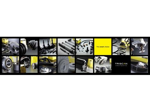 8180 25289 Czujnik Abs Renault Espace 2,0Dci 06- Triscan