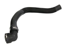 12H14729 Wąż, Wymiennik Ciepła (Ogrzewanie) Thermotec