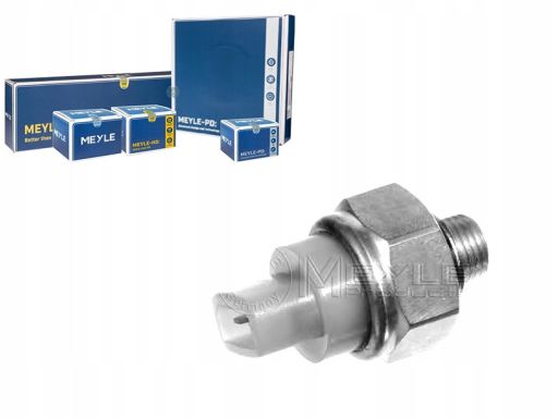 100 919 0027 Czujnik Temperatury Płynu Chłodzącego (Ilość Pinów: 2, Bi