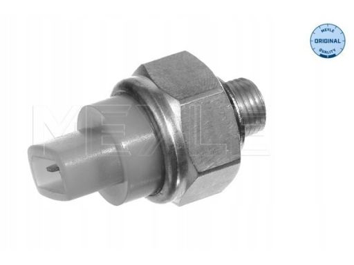 100 919 0027 Czujnik Temperatury Płynu Chłodzącego (Ilość Pinów: 2, Bi