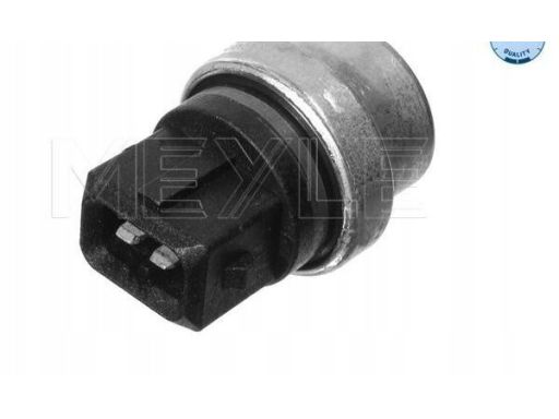 100 919 0024 Czujnik Temperatury Płynu Chłodzącego (Ilość Pinów: 2,