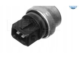 100 919 0024 Czujnik Temperatury Płynu Chłodzącego (Ilość Pinów: 2,