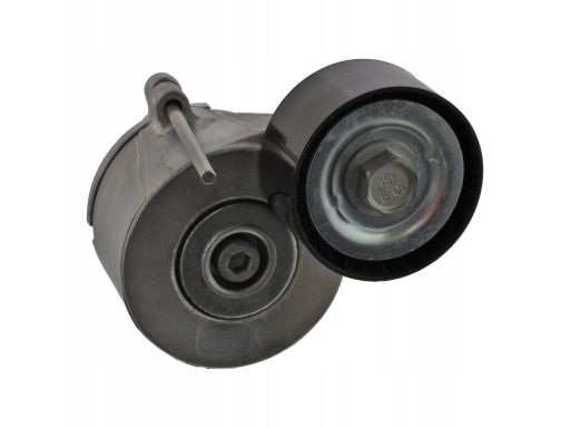 Fe22779 Napinacz Paska Wielorowkowego Pasuje Do: Citroen Berlingo,