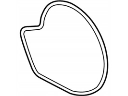 Uszczelka Pompy Wody BMW M2 F80 M3 F80 M4 F82 F83