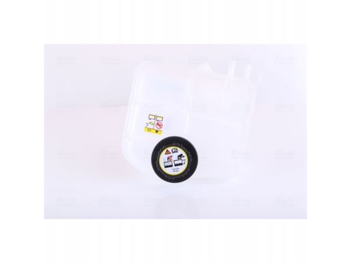 Zbiorniczek Wyrównawczy Płynu Chłodzącego Ford Capri Focus Tourneo Con