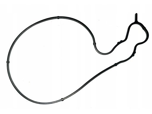 Uszczelka Pompy Wody BMW M1 F20 F21 M2 F22 F23