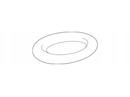 Oring Uszczelka Filtra Oleju Mercedes M112 M177 A0169971745