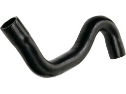 Wąż Chłodnicy 3981