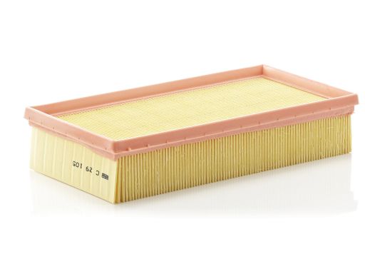 Filtr Powietrza C 29 105