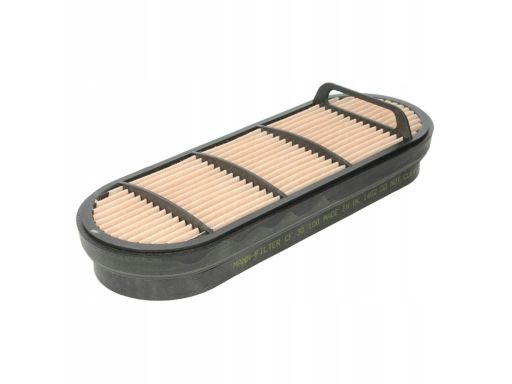 Filtr Powietrza Cf 30 100
