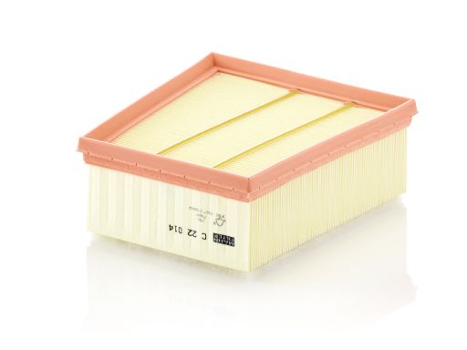 Filtr Powietrza C 22 014