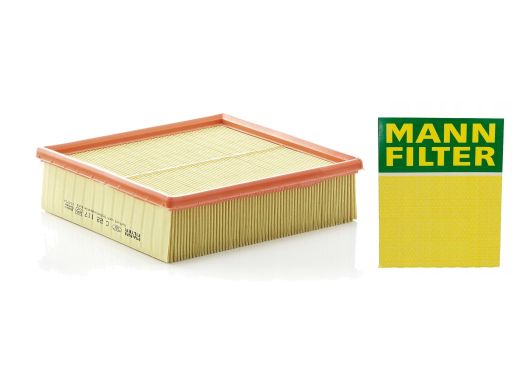 Filtr Powietrza C 22 117