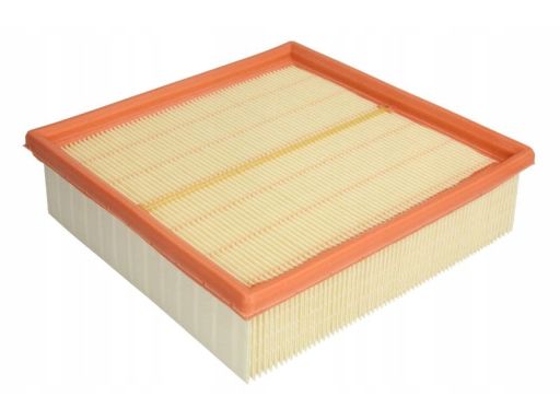 Filtr Powietrza C 22 117