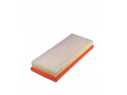 Filtr Powietrza Ap 195/2