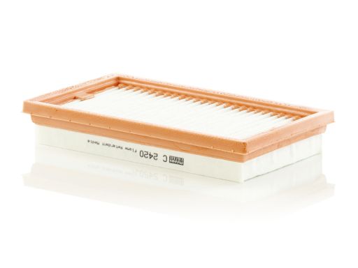 Filtr Powietrza C 2420