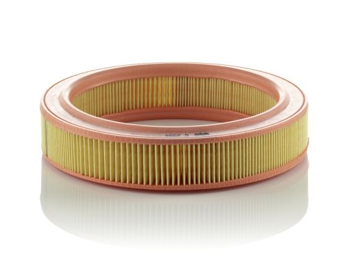 Filtr Powietrza C 2534