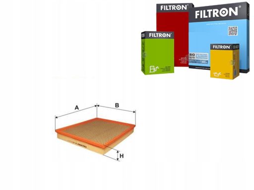 Filtr Powietrza Ap 137/1