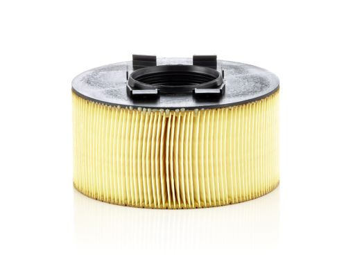 Filtr Powietrza C 1882