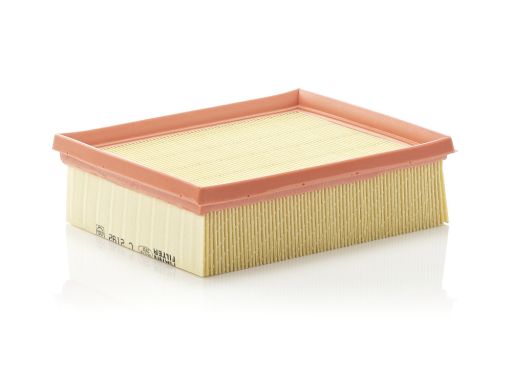 Filtr Powietrza C 2192