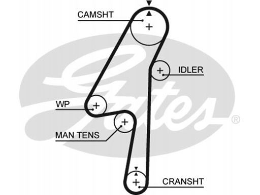Zestaw Paska Rozrządu + Pompa Cieczy Chł Kp15580Xs